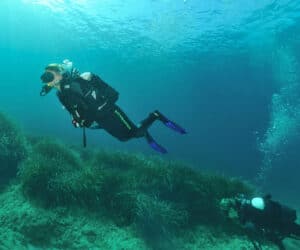 To dykkere udforsker en undervandsscene, omgivet af klart blåt vand og pletter af grøn tang på havbunden. Dykkerne bærer sorte våddragter og finner, når de svømmer forbi hinanden og skaber bobler, der stiger til overfladen.
