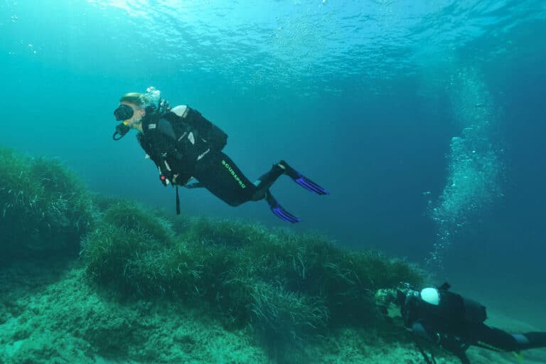 To dykkere udforsker en undervandsscene, omgivet af klart blåt vand og pletter af grøn tang på havbunden. Dykkerne bærer sorte våddragter og finner, når de svømmer forbi hinanden og skaber bobler, der stiger til overfladen.