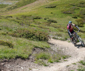 En mountainbiker i rød trøje og hjelm kører ned ad en snoet jordsti gennem frodige grønne bakker med pletter af buske og græs på en solskinsdag.