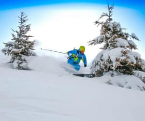 En skiløber i blåt gear og en gul hjelm glider gennem frisk puddersne mellem to snedækkede træer på en lys, klar dag.