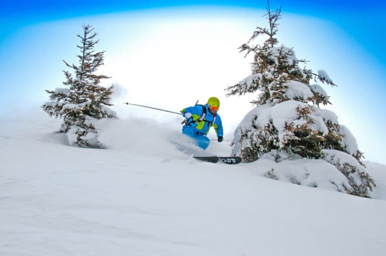 En skiløber i blåt gear og en gul hjelm glider gennem frisk puddersne mellem to snedækkede træer på en lys, klar dag.