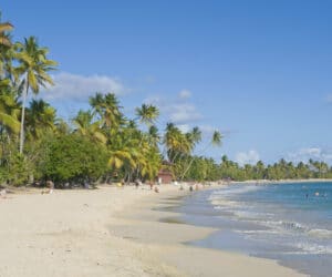 En solrig strandscene med klar blå himmel og blide bølger. Høje palmer ligger langs den sandede kyst, hvor folk slapper af og nyder vandet. Horisonten strækker sig ind i et roligt hav og skaber en fredfyldt og tropisk atmosfære.