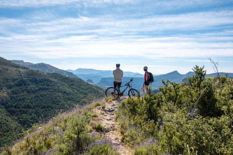 To cyklister står på en stenet bakketop med udsigt over et stort landskab af grønne skove og fjerne bjerge under en klar blå himmel. Den ene cyklist holder en cykel, mens den anden stirrer ud i landskabet.