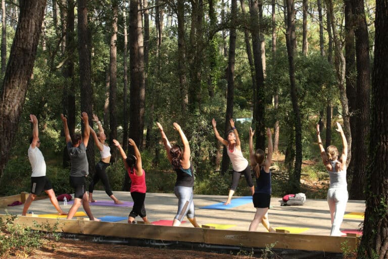 En gruppe mennesker dyrker yoga udendørs i skovmiljøer. De står på yogamåtter, med løftede arme, omgivet af høje træer og grønt. Scenen antyder et roligt, naturligt miljø for motion.
